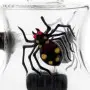 Grace Glass - The Spider Series 16 cm