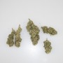 Amnesia - Susz konopny CBD 3g do 11 %, THC poniżej 0,2% - 1G/3G/5G/10G/20G/50G/100G/200G/500G/1KG