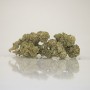 Amnesia - Susz konopny CBD 3g do 11 %, THC poniżej 0,2% - 1G/3G/5G/10G/20G/50G/100G/200G/500G/1KG