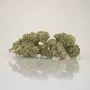 Amnesia - Susz konopny CBD 3g do 11 %, THC poniżej 0,2% - 1G/3G/5G/10G/20G/50G/100G/200G/500G/1KG