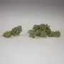 CBWeed Cannabis Light Orange Skunk CBD - 2g