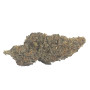 Purple Kush - Susz Konopny CBD do 22%, THC poniżej 0,2% od Cannabisland