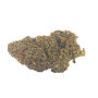 Purple Haze - Susz Konopny CBD do 22%, THC poniżej 0,2% od Cannabisland