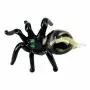 Magnes SPIDER