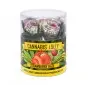 Lizaki konopne - Strawberry Haze - 10 sztuk