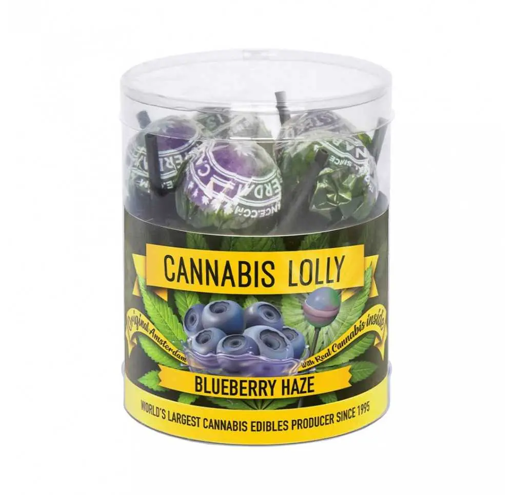 Lizaki konopne - Blueberry Haze - 10 sztuk