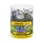 Lizaki konopne - Blueberry Haze - 10 sztuk