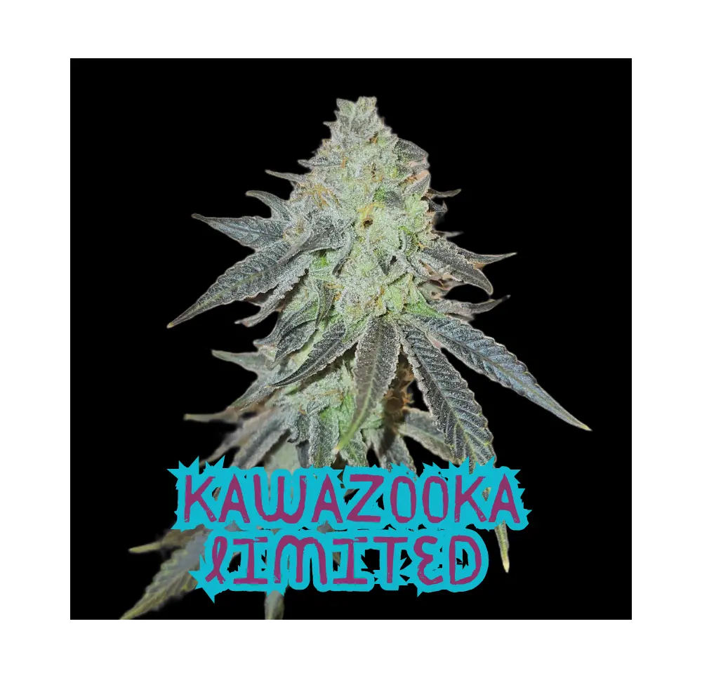 KAWAZOOKA Limited