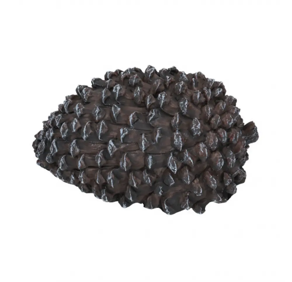Schowek - Szyszka 11,5x5,5 cm