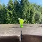Mikro Bubbler do Jointów - Grace Glass - OUTLET