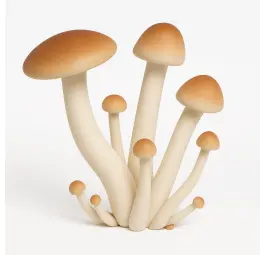 Growkit Golden Teacher Full Auto