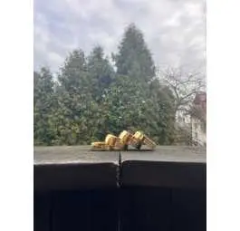 Młynek miedziany 4-elementowy pokryty złotem + pudełko ozdobne + certyfikat