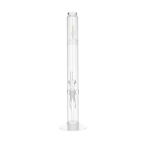 bongo-cactus-49-cm-18-8-mm-BO-068-4580