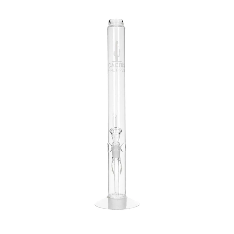 bongo-cactus-49-cm-18-8-mm-BO-068-4580