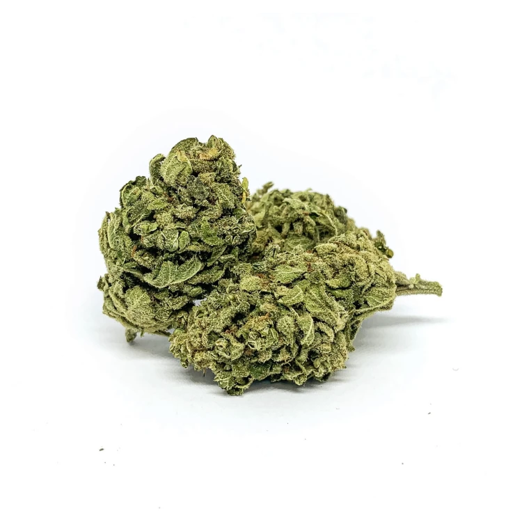 Susz konopny CBD „Tropicana” o aromacie słodkim, cytrusowym 1g