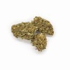 susz-konopny-cbd-hawai-haze-o-aromacie-tropikalnym-mango-1g-SM-008-5158