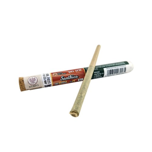 BOX - 12 x Pre Roll CBG Santhica  CBG < 20% - Specjały Babci Marysi
