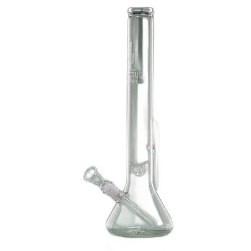bongo-cactus-44-cm-18-8-mm-BO-153-9500