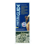 padmini-spiritual-guide-incense-20-pcs-box-6-packs-GG-163B-9785