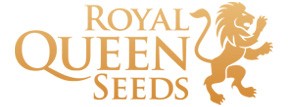 Royal Queen Seeds