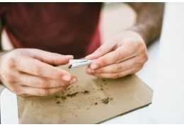 Bletki z terpenami: co to jest i dlaczego warto?