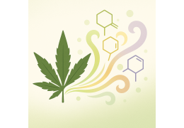Terpeny konopne: aromatyczne sygnatury‐klucze do efektu entourage, nowych terapii i standaryzacji fitomedycznej