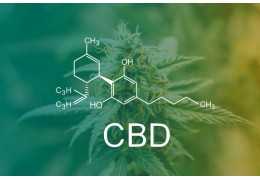 Jaki susz wybrać na początek? CBD/CBG – najczęstsze pytania