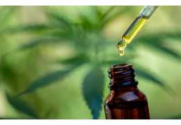 Olejek CBD – co to jest i jak działa
