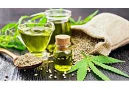 Jakie choroby leczy medyczna marihuana?