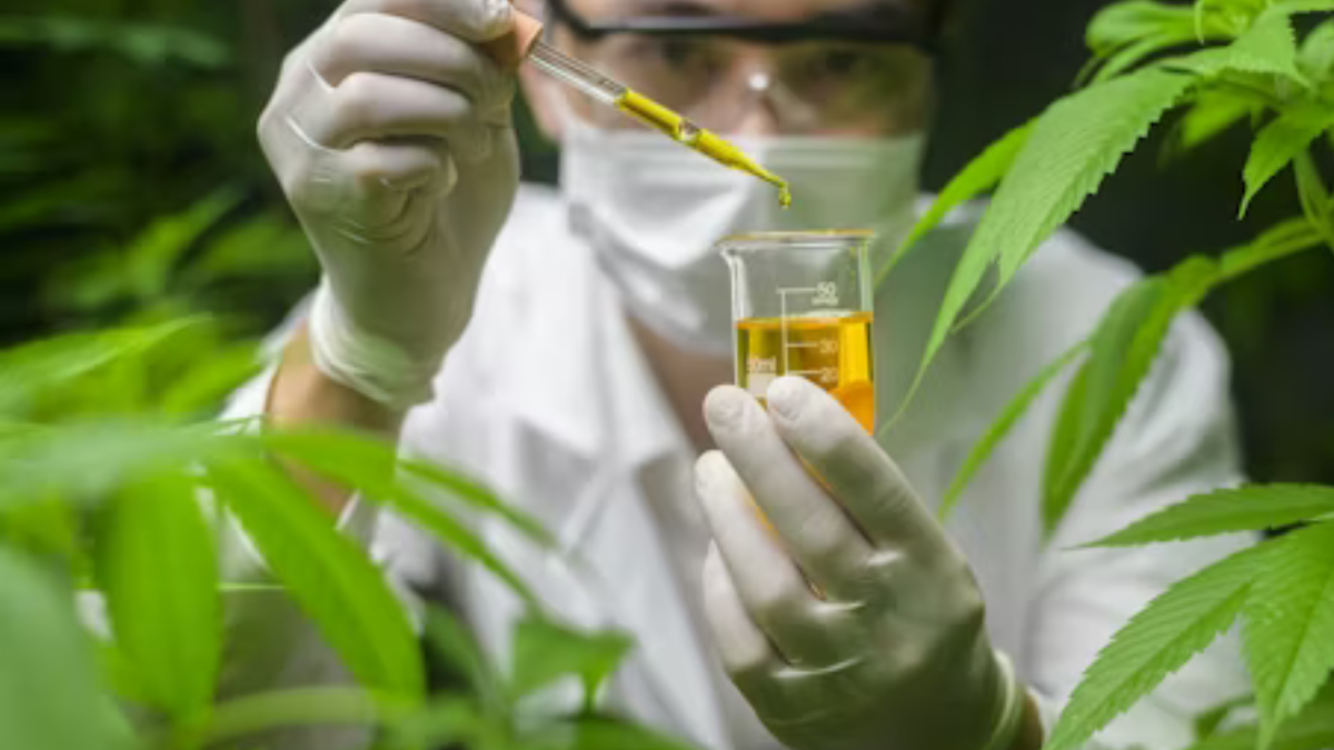 Jak CBD wpływa na redukcję stresu?